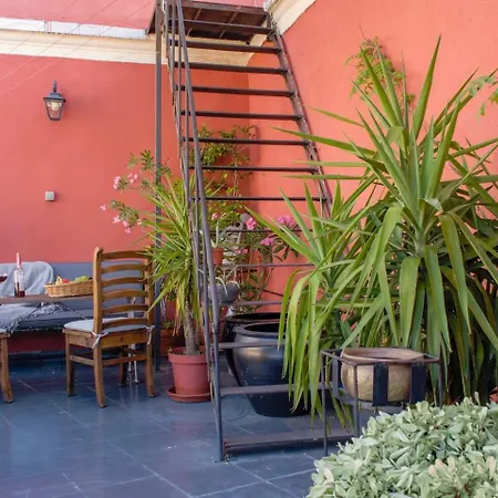 High Garden Rooftop Terrace Around Galata Tower 伊斯坦布尔